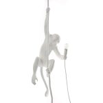 The Monkey Lamp da soffitto